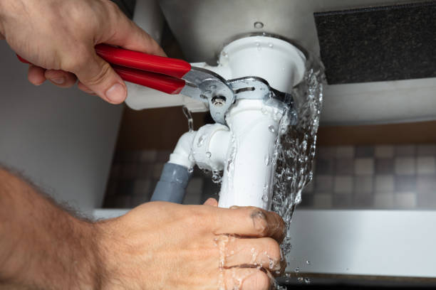 Best Water damage cleanup near me  in Flemington, PA