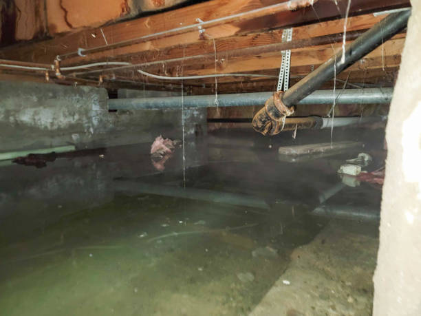  Flemington, PA Water damage restoration Pros