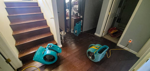 Best Water damage restoration mold remediation  in Flemington, PA