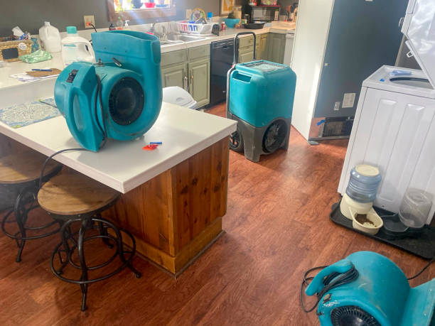 Best Water damage cleanup near me  in Flemington, PA