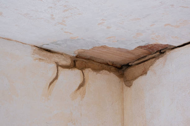 Best Commercial water damage restoration  in Flemington, PA