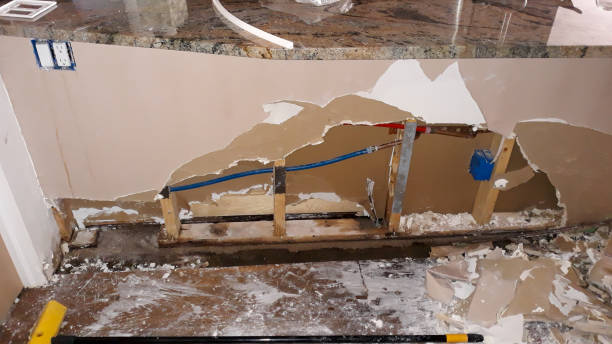 Best Water damage restoration near me  in Flemington, PA