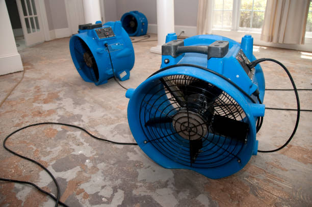 Best Flood damage cleanup  in Flemington, PA