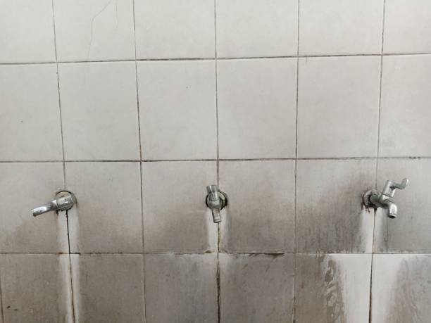 Best Local water damage restoration  in Flemington, PA