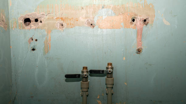 Best Mold removal after water damage  in Flemington, PA