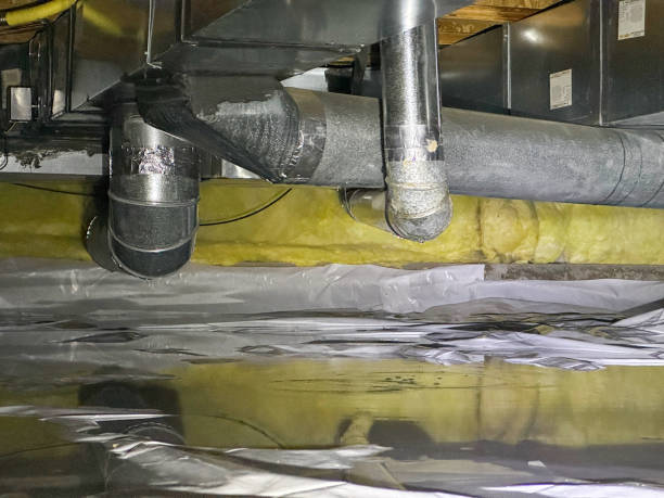 Best Flood restoration services  in Flemington, PA