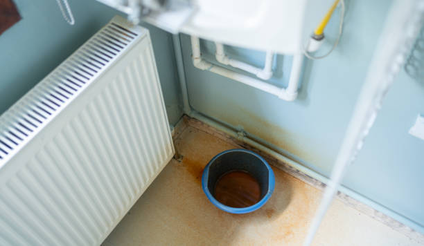 Best Flooded house restoration  in Flemington, PA